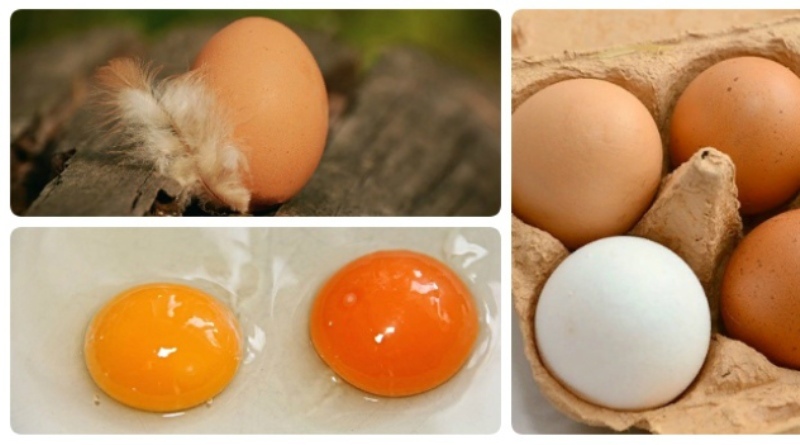 Варите яйца на пасху 2 часа и получите отменный результат