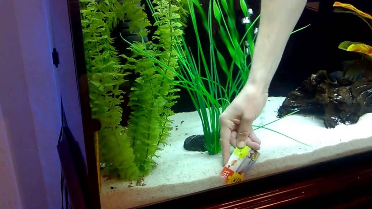 Как правильно помыть аквариум с рыбками