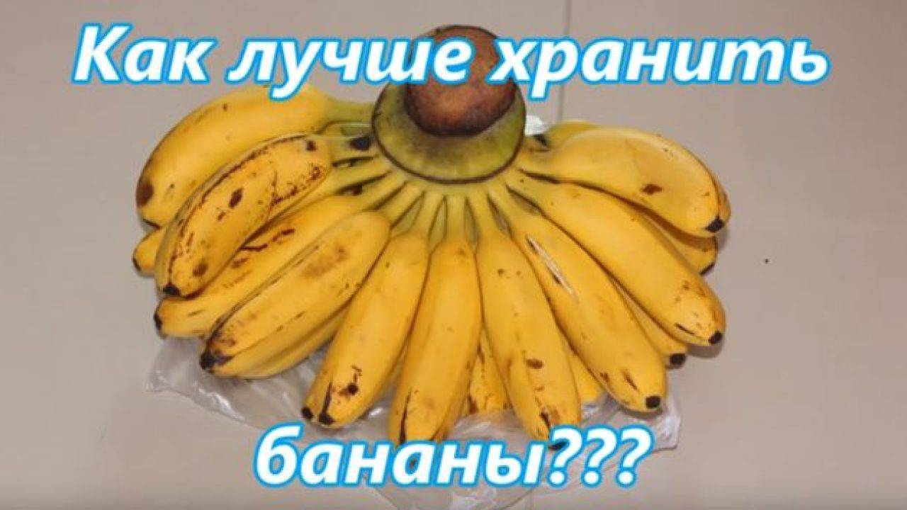 Как хранить бананы дома, чтобы не чернели?