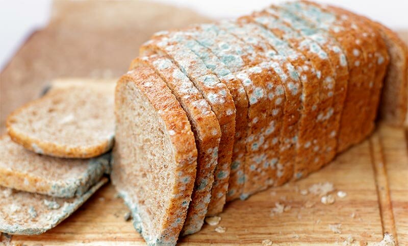 Как хранить хлеб правильно: способы, чтобы не плесневел и не черствел в домашних условиях