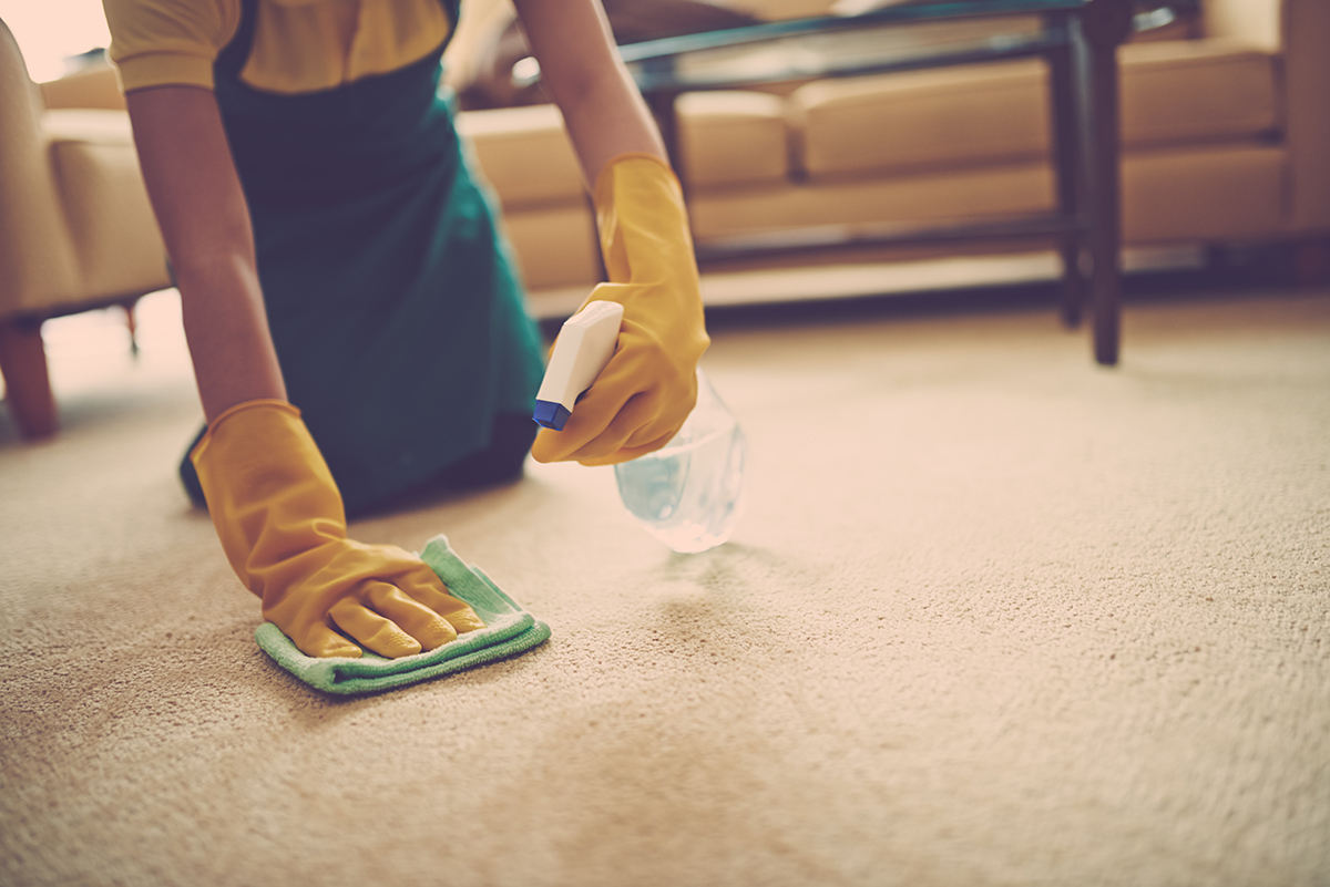 Как убрать с дивана запах рвоты: 18 лучших способов и средств в домашних условиях