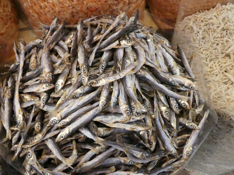 Как хранить сушеную рыбу: 5 методов  | mirnadivane.ru