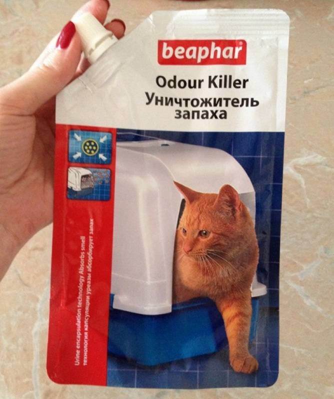 Как и чем мыть кошачий лоток, чтобы в квартире не пахло, чем лучше дезинфицировать
