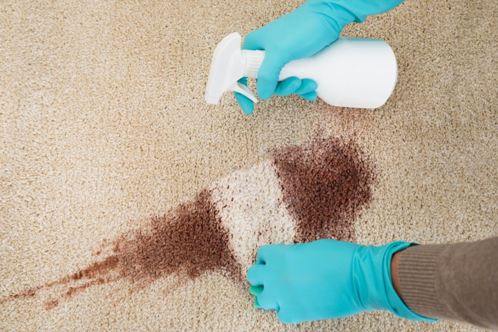 Как убрать запах рвоты с дивана в домашних условиях, чем отмыть свежие и вывести застарелые пятна?
