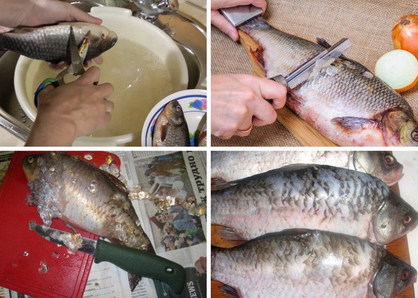 Для заядлого рыбака не стоит вопрос о том, как чистить карася Но без опыта разделки этой рыбы даже этот этап ее приготовления может быть проблематичным