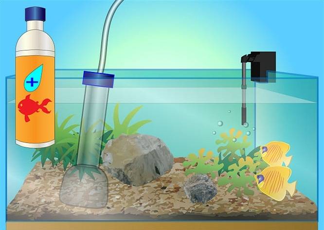 Как почистить аквариум: полезное руководство для любителей и профессионалов