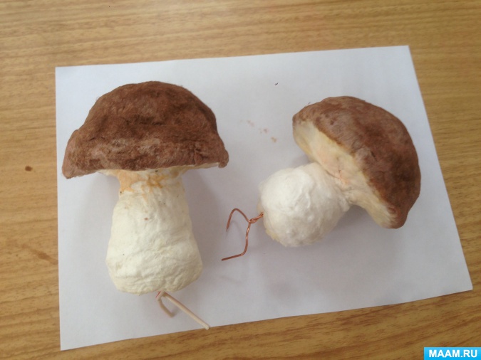Сколько минут варить грибы: белые польские, маслята, опята, лисички