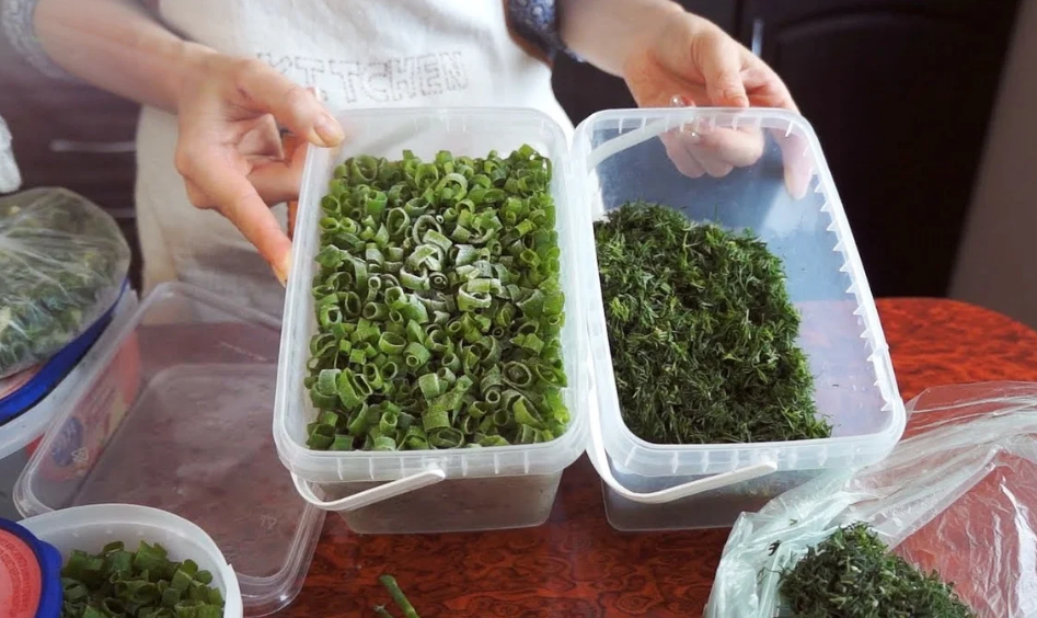 Способы и советы, как надолго сохранить свежий зеленый лук в холодильнике